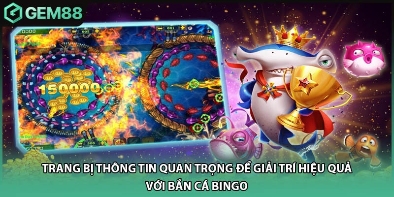 Trang bị thông tin quan trọng để giải trí hiệu quả với bắn cá Bingo 
